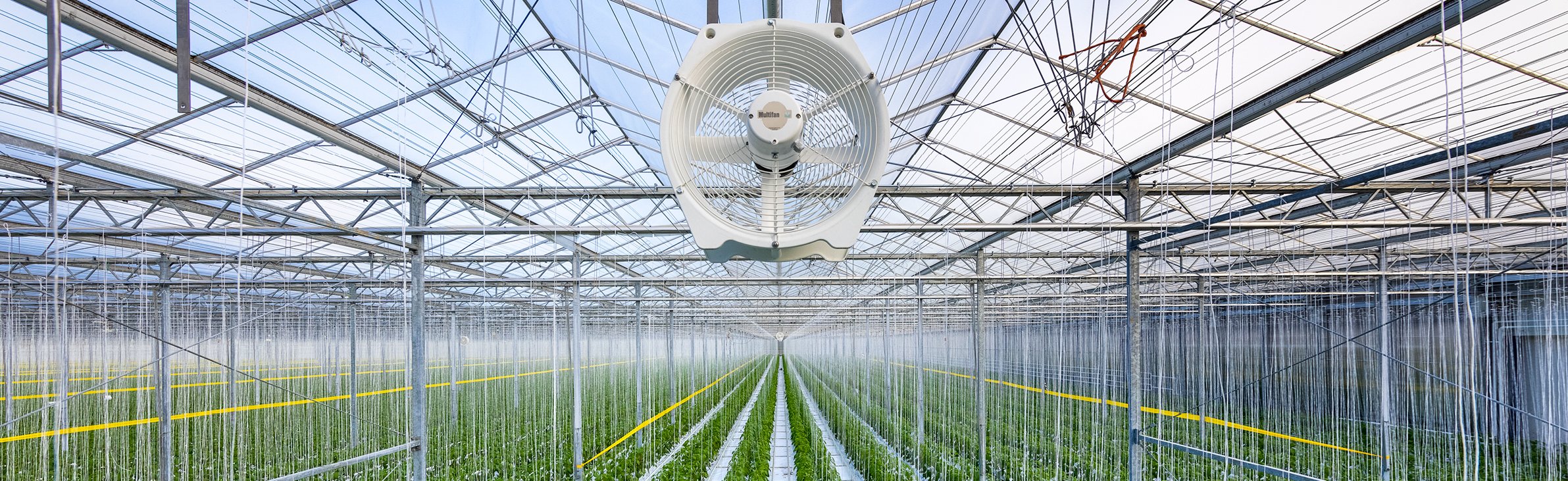 Multifan Greenhouse Fan